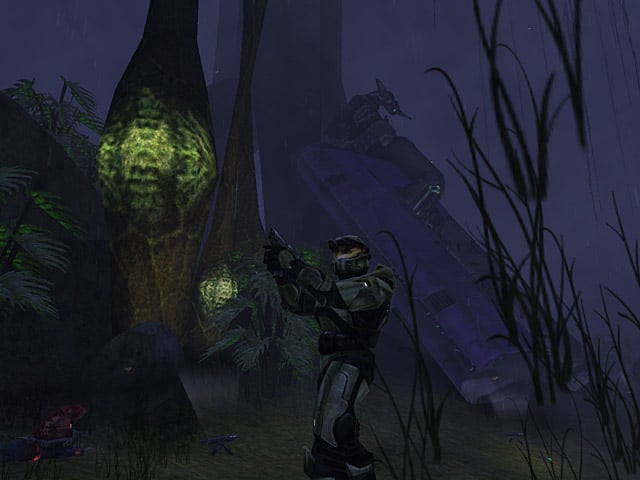 File:HCE Chief Swamp.jpg