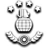 File:Frag Grenade commendation.png