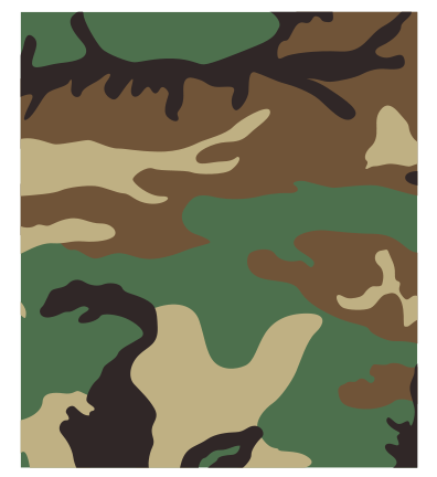 File:Camo.png