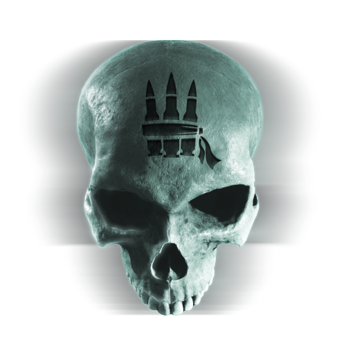 File:HCEV Skull Bandanna Icon.png