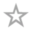 HSA Star Silver.png
