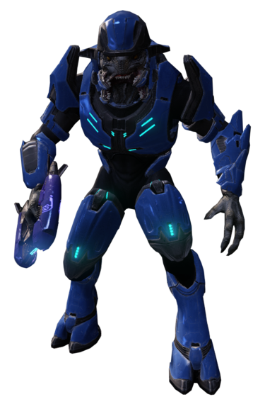 Sangheili Minor - Halopedia, the Halo wiki