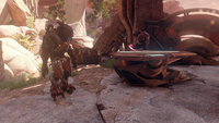 Several Sangheili alongside Thel 'Vadam on Sangheilios.