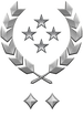 Multiplayer career rank insignia for Halo Infinite.