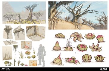 Forbidden - Multiplayer map - Halo Infinite - Halopedia, the Halo wiki