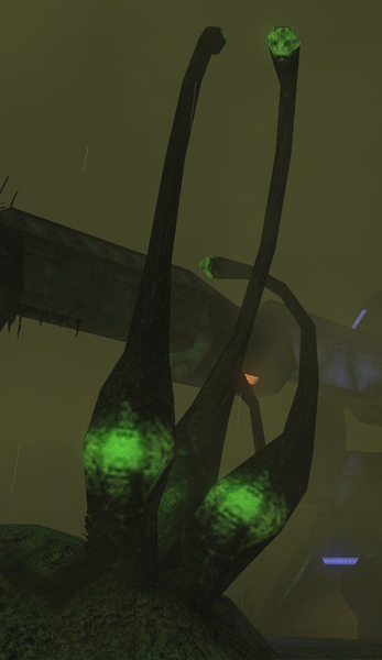 File:H2 BackwashTrees.png