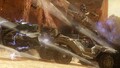 Thumbnail for version as of 14:49, October 9, 2025