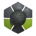 Icon of the 2024 Quadrant weapon coating.