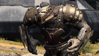 Close up of the shielded variant of the Berserker, without energy shields.