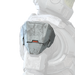 Icon for the SAP/HPAD shoulder.