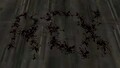 Thumbnail for version as of 04:35, July 27, 2026