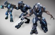 A comparison of in-game Sangheili across the Halo series in 2015.