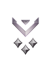 Multiplayer career rank insignia for Halo Infinite.
