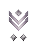 Multiplayer career rank insignia for Halo Infinite.