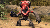 An Unggoy Assault in a red combat harness and armed with a Disruptor