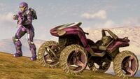 The ODST/DEMO armor with a Mongoose employing the Amethyst Raven skin.
