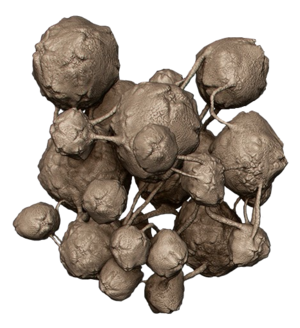 Untextured render of the Flood spore model developed by Blur for Halo 2: Anniversary's cutscenes.