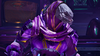 A Sacristan Sangheili with the Great Journey symbol branded on his head in Halo: Campaign Evolved.