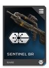 REQ Loadout Weapon BR Sentinel Laser.jpg