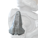 Icon for the UA/Nasica shoulder pad.