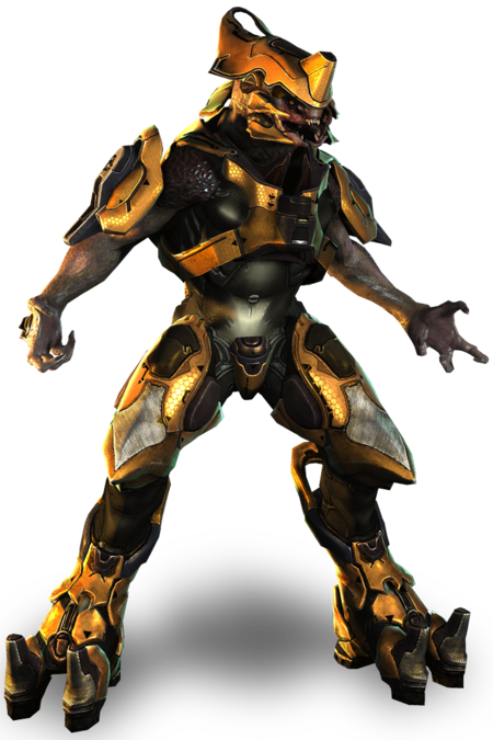 Sangheili Warrior - Halopedia, the Halo wiki