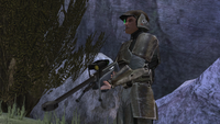 A marine with the SRS99C.