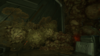 A series of three blisters, among other Flood growths, in Halo: Campaign Evolved.