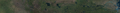 Thumbnail for version as of 05:29, August 1, 2026