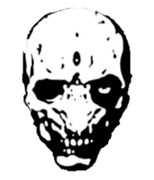File:Didactskull2.png