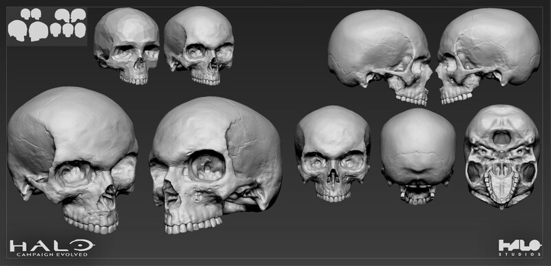 File:HCEV Skull HiPoly Render.jpg