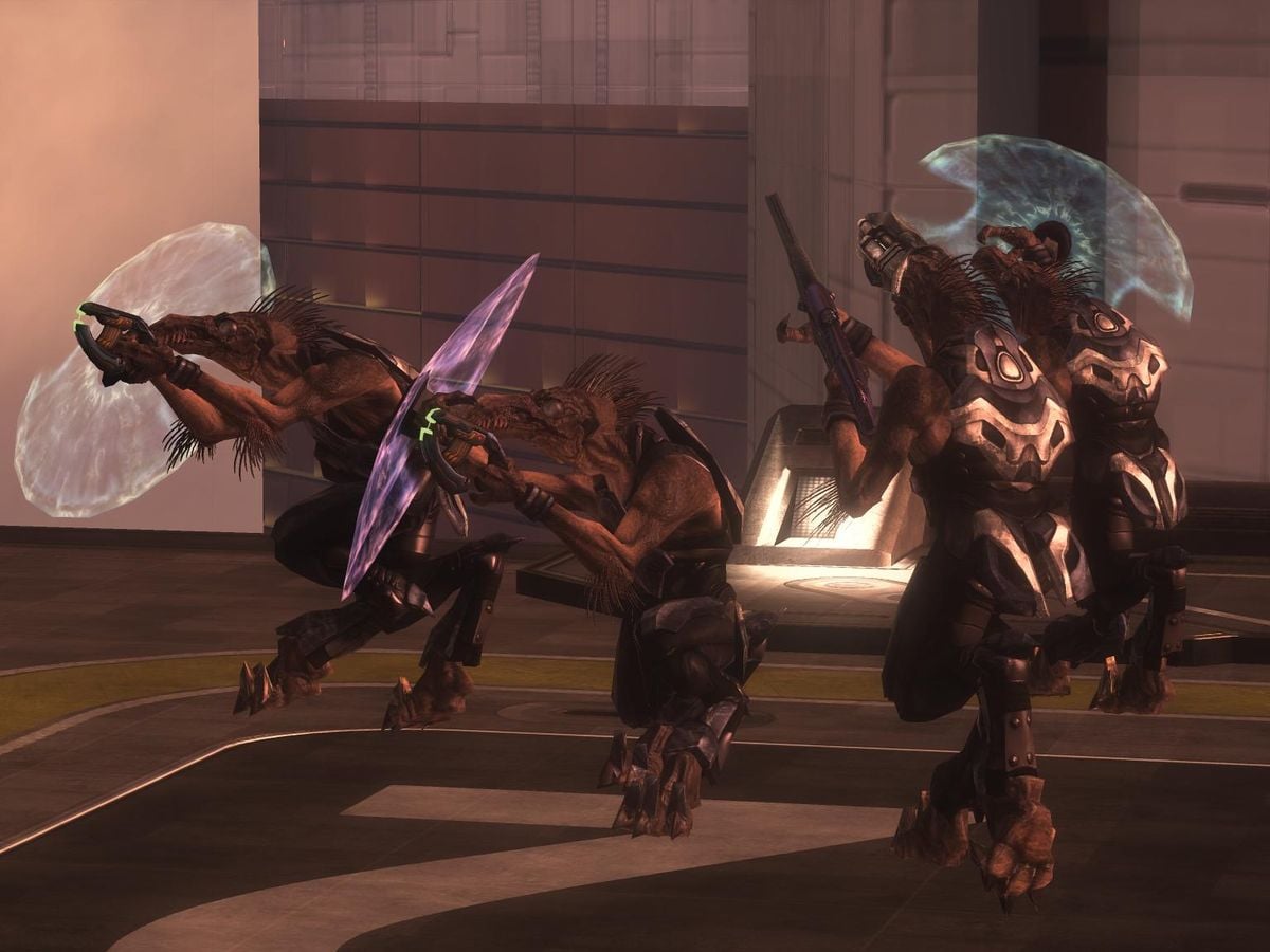 File:Look Up Jackals.jpg - Halopedia, the Halo wiki