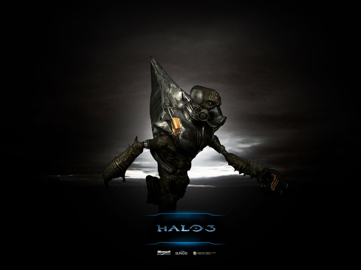 g-020-055-character-halopedia-the-halo-wiki