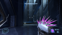 Pinpoint Needler first person POV