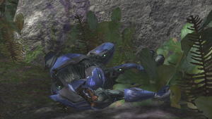 The Unidentified Sangheili Minor in the campaign level Uprising.