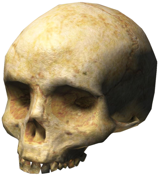 File:H3-Skull.png