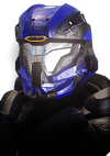 REQ icon for the Recruit armor.