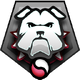Unused medal icon for Halo 5: Guardians.