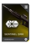 REQ Card - DMR Sentinel Laser.jpg