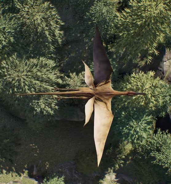 File:CEV QuadwingDorsal.png
