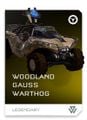 REQ Card - Woodland Gauss Warthog.jpg