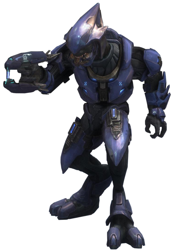 Elite - Character - Halopedia, the Halo wiki