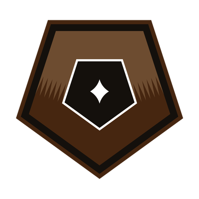 Bronze rank icon.