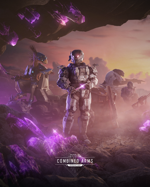 File:HINF CombinedArms Cover.png