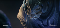 Close up of a Sangheili in Halo: The Television Series.