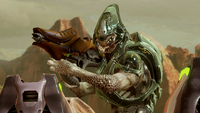 A Sangheili Storm in green armor.