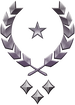 Multiplayer career rank insignia for Halo Infinite.