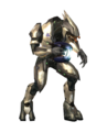 A render of the Sangheili Ultra wearing a standard combat harness in Halo 2.