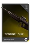 REQ Card - DMR Sentinel.jpg