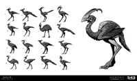 HINF BirdConcepts2.jpg