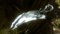 Image of the cut flying squid from Halo 4.